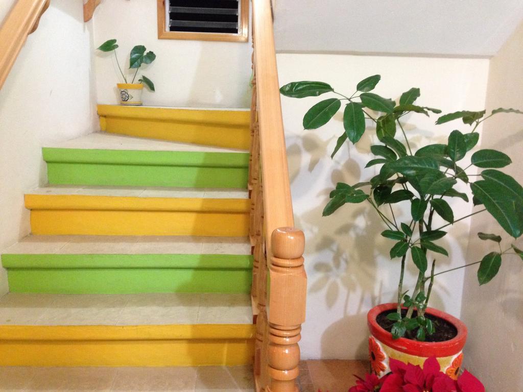 Hotel Posada Las Rosas ซานกริสโตบัล เด ลาสกาซาส ภายนอก รูปภาพ
